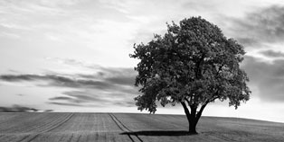 Progettazione energetica a Brescia