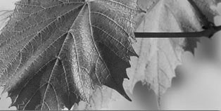 progettazione impianti per Riduzione consumi energetici